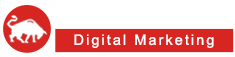 IndigoBull Digital Marketing